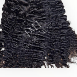 Burmese Curly